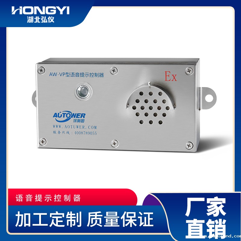 语音提示控制器